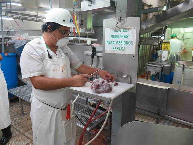 Auditoria interna industria alimentos